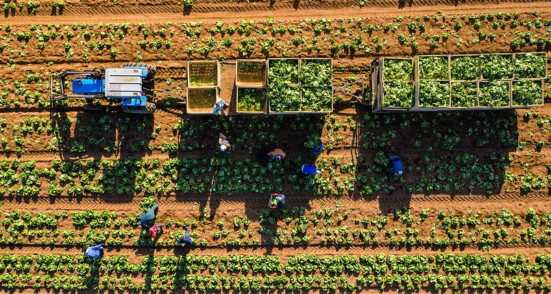 L’Afrique subsaharienne présente des taux de mécanisation agricole parmi les plus bas au monde